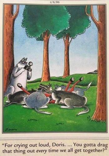 133073917_3705219782868669_9192384087997231850_n