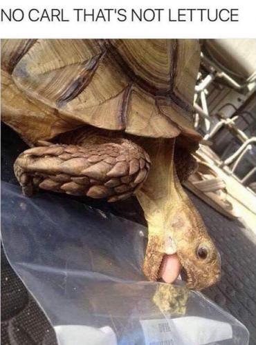 17:39:53 GMT-0500 (EST)