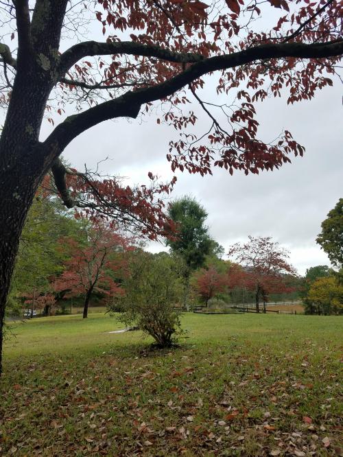 10:24:10 GMT-0500 (EST)