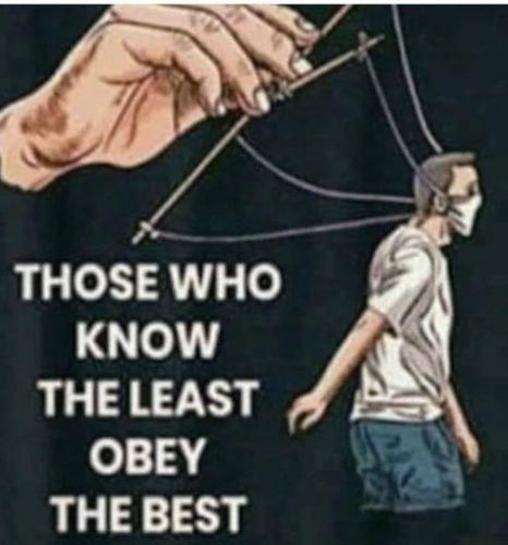 144967332_523962745237791_5905061697333288046_n