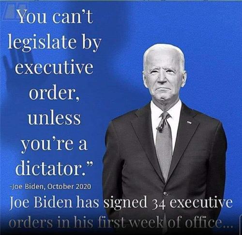 143543110_4255764484437189_5074881627808093507_n