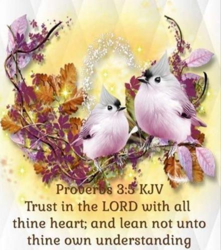 22:17:19 GMT-0600 (CST)