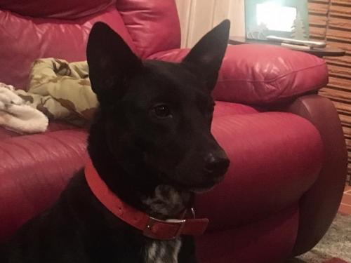 10:04:54 GMT-0600 (CST).image