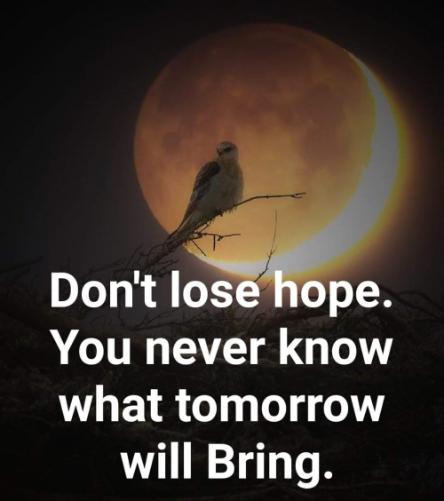 00:35:31 GMT+0100 (WAT).png