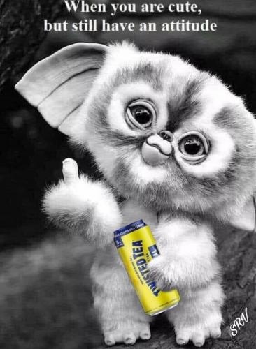 04:10:25 GMT-0800 (PST).image