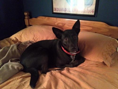 10:19:18 GMT-0600 (CST).image