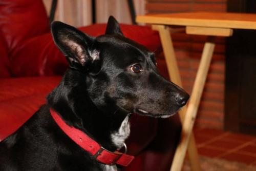 10:13:29 GMT-0600 (CST).image