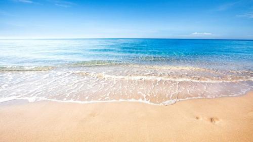 04:22:02 GMT-0500 (EST)