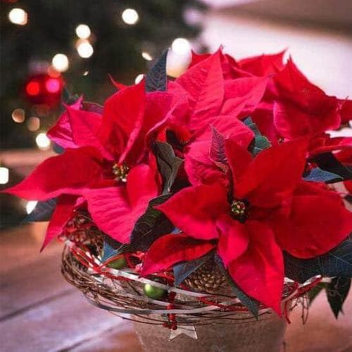 13:42:37 GMT+0100 (WAT)