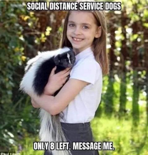 09:28:37 GMT-0700 (MST).image