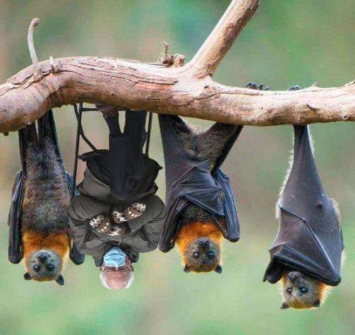 07:41:11 GMT-0500 (EST)