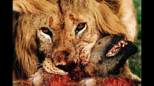 FD15BC0A-D2DA-43C4-A453-9C6B7DEA9B2C