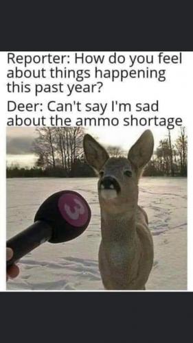 15:36:10 GMT-0600 (CST)