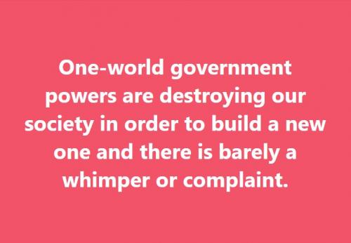 One-world government powers are destroying our society