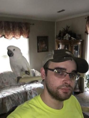 11:40:36 GMT-0500 (EST)