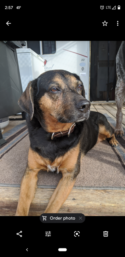 06:39:24 GMT-0700 (MST).png