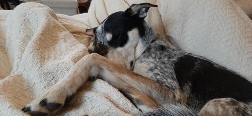 13:21:37 GMT-0500 (EST)