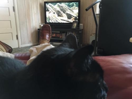 10:09:32 GMT-0600 (CST).image