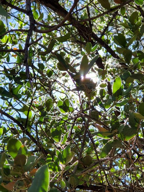 11:35:01 GMT-0700 (MST)