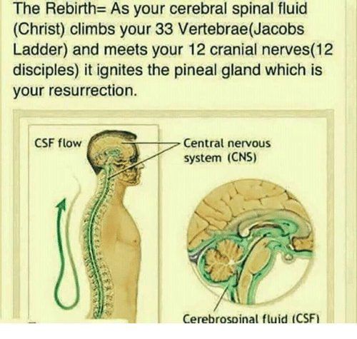 08:11:43 GMT-0500 (EST)