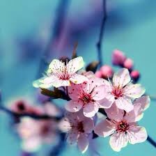 22:49:36 GMT+0100 (WAT).image