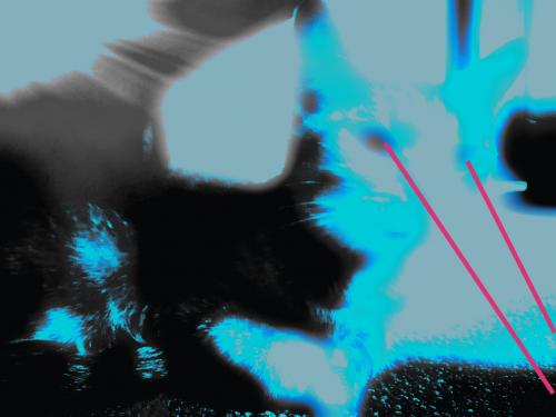 09:33:45 GMT-0500 (EST)