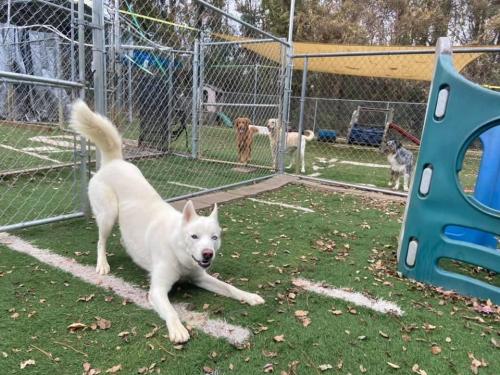 22:18:38 GMT-0600 (CST).image