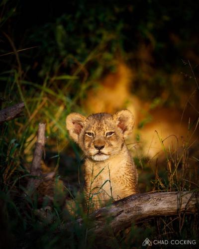 138411482_4261808730503215_8339177978743049442_o