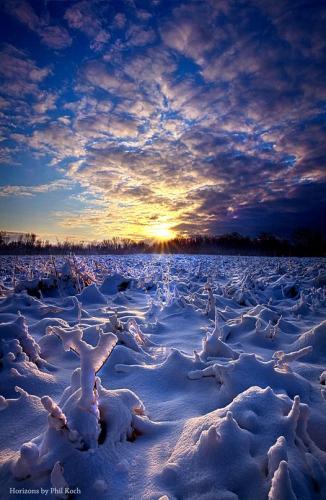 139593857_246119176909641_4807862062982939493_o