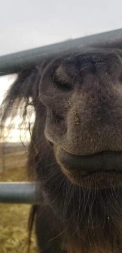 08:22:54 GMT-0800 (PST).image