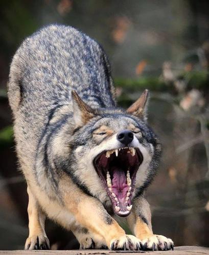 142245075_1783584171807787_2393912840803033084_o