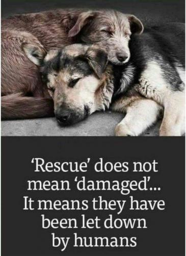 17:55:11 GMT-0500 (EST)