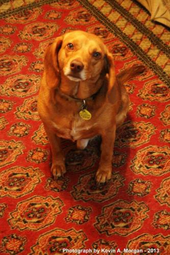 19:23:14 GMT-0600 (CST).image