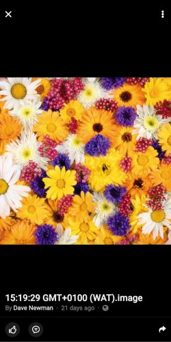 12:22:33 GMT-0600 (CST)