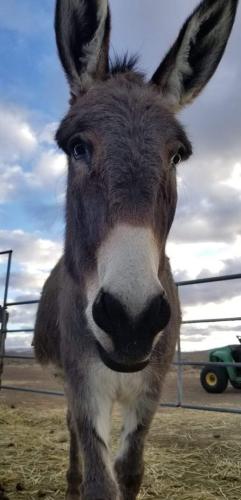 19:42:01 GMT-0800 (PST).image