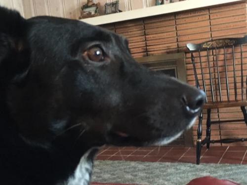 10:09:32 GMT-0600 (CST).image