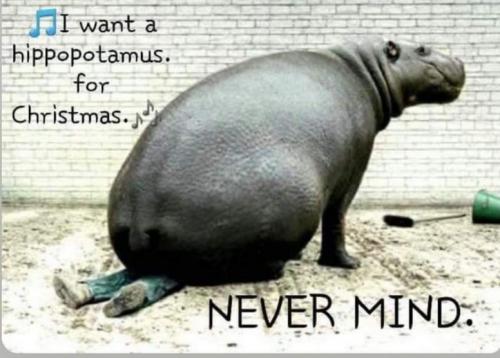 17:51:51 GMT-0500 (EST)