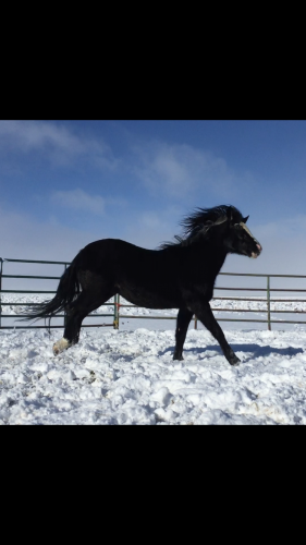 08:56:29 GMT-0800 (PST).image