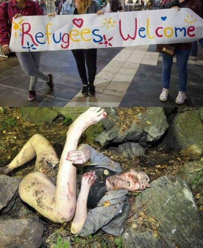 16298700_1230549907010798_2318921044262493057_n