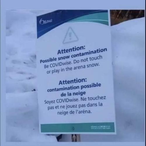 IMG_20210115_225919_790