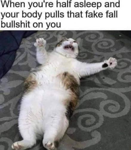 10:09:36 GMT-0500 (EST)