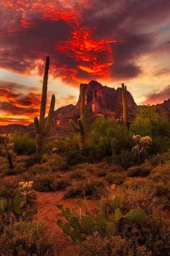 143948203_10215818624293276_4933085457529469205_n