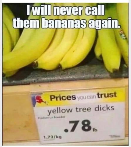 19:56:38 GMT-0500 (EST).image