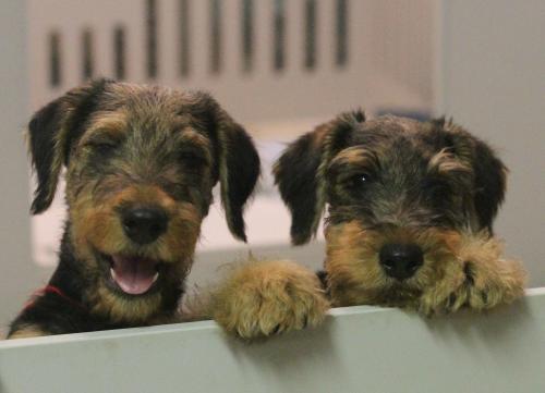 11:39:05 GMT-0600 (CST).image