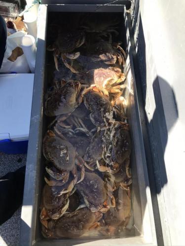 60495C2F-9A63-411B-A85F-9B3570896446