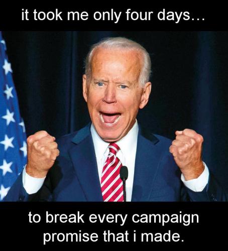 biden342