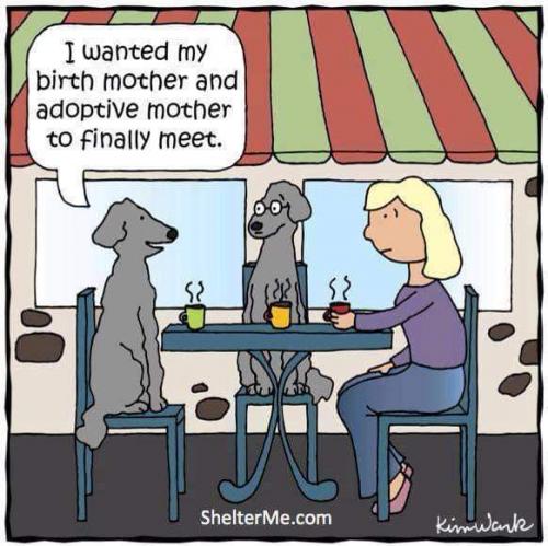 10:35:35 GMT-0600 (CST)