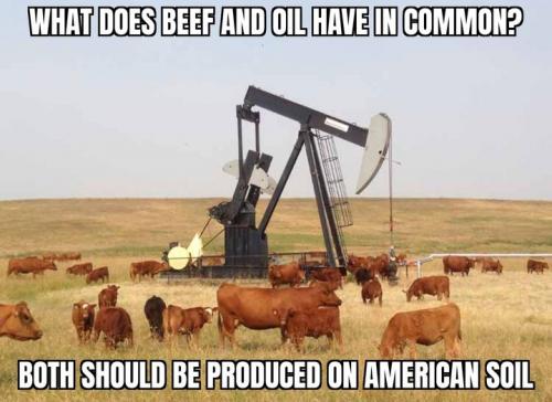 10:24:51 GMT-0500 (EST)