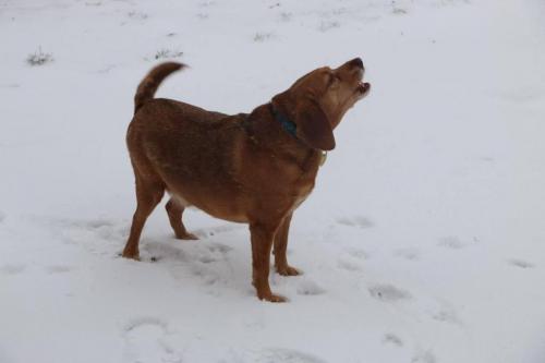 19:21:34 GMT-0600 (CST).image