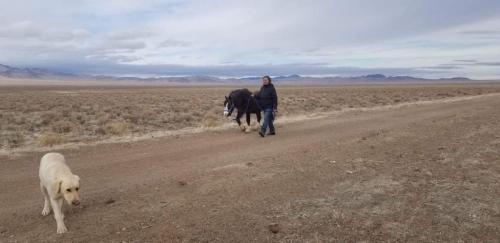 08:22:54 GMT-0800 (PST).image